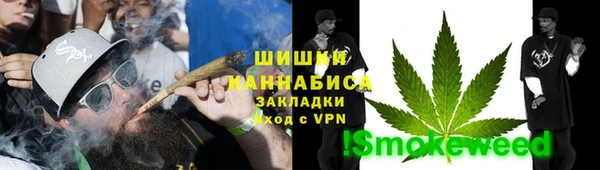 хмурый Бронницы