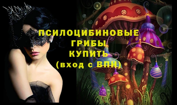 хмурый Бронницы