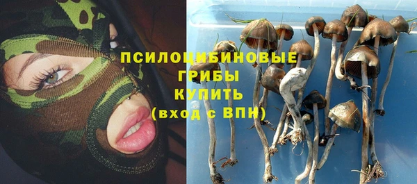 хмурый Бронницы