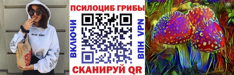 купить   Петропавловск-Камчатский  Псилоцибиновые грибы Cubensis 